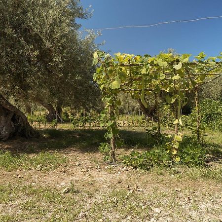 Villa Mendolia Ai Caracoli Termini Imerese Kültér fotó
