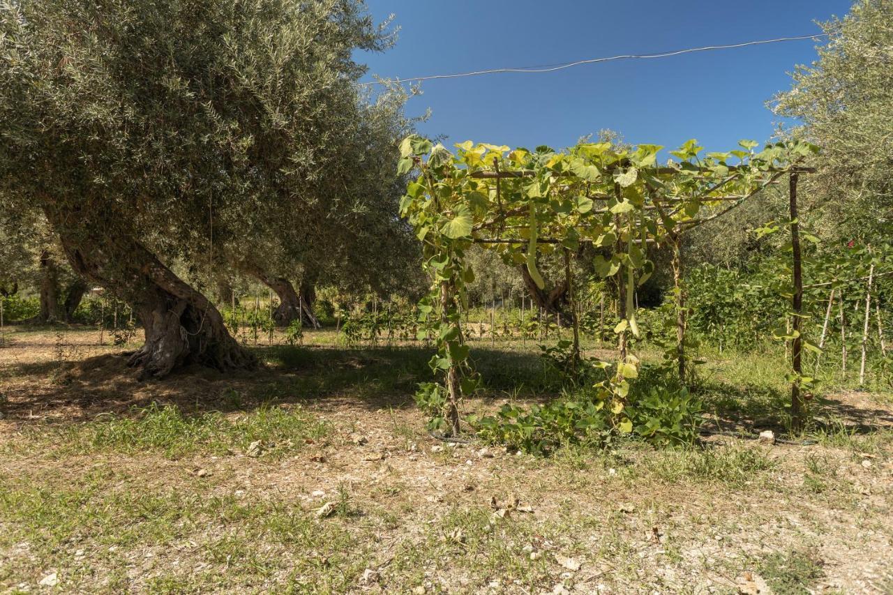 Villa Mendolia Ai Caracoli Termini Imerese Kültér fotó